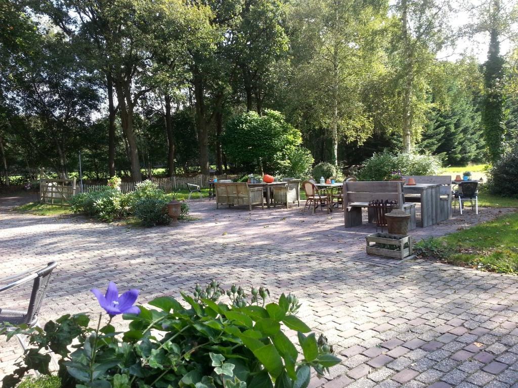 Het Bonte Paard Bed & Breakfast ดวิงเงโล ภายนอก รูปภาพ