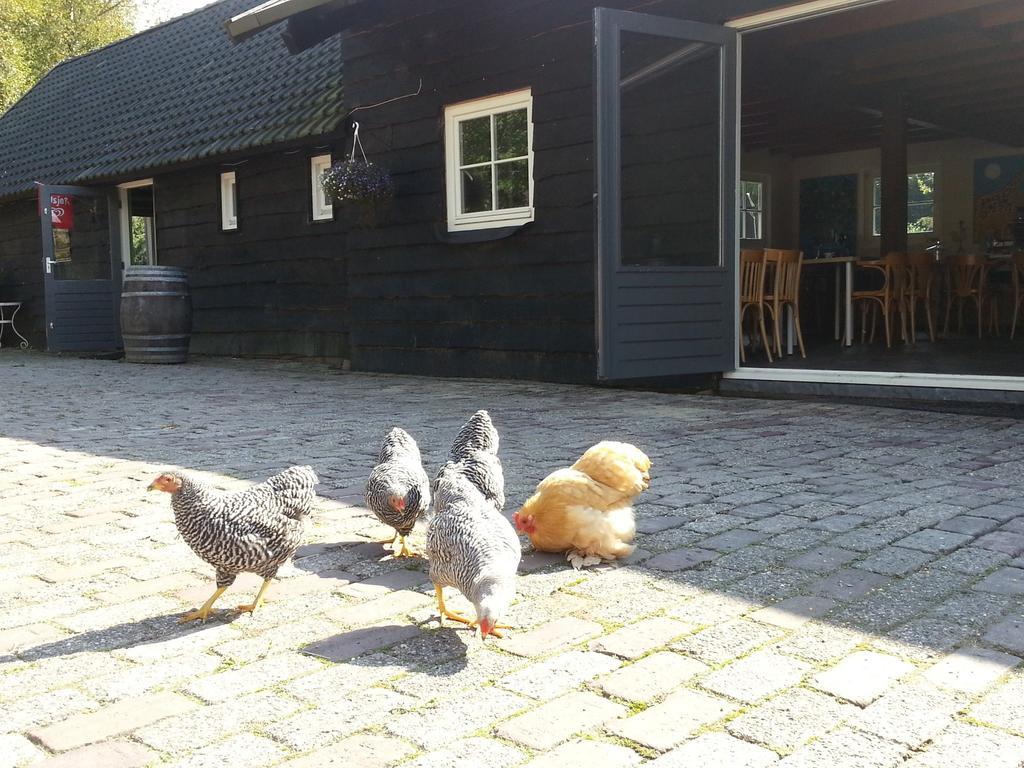 Het Bonte Paard Bed & Breakfast ดวิงเงโล ภายนอก รูปภาพ