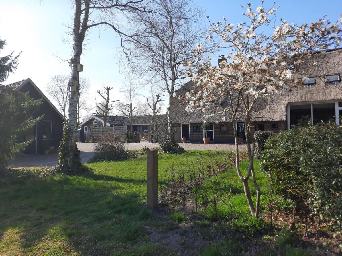 Het Bonte Paard Bed & Breakfast ดวิงเงโล ภายนอก รูปภาพ