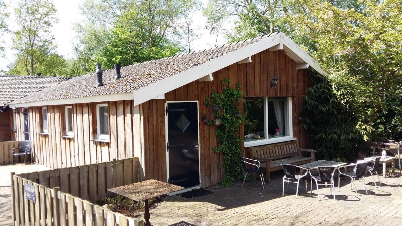 Het Bonte Paard Bed & Breakfast ดวิงเงโล ภายนอก รูปภาพ
