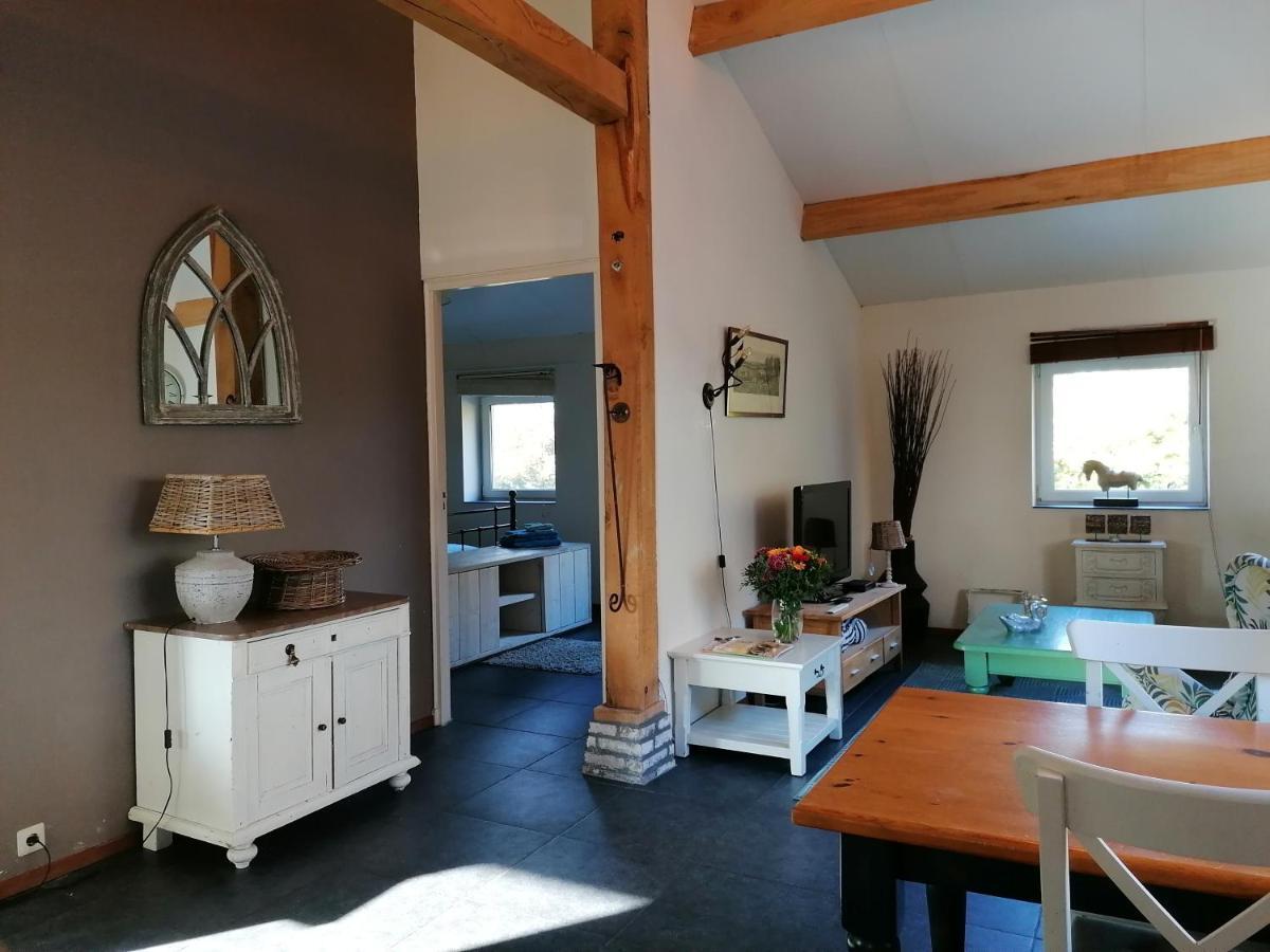 Het Bonte Paard Bed & Breakfast ดวิงเงโล ภายนอก รูปภาพ