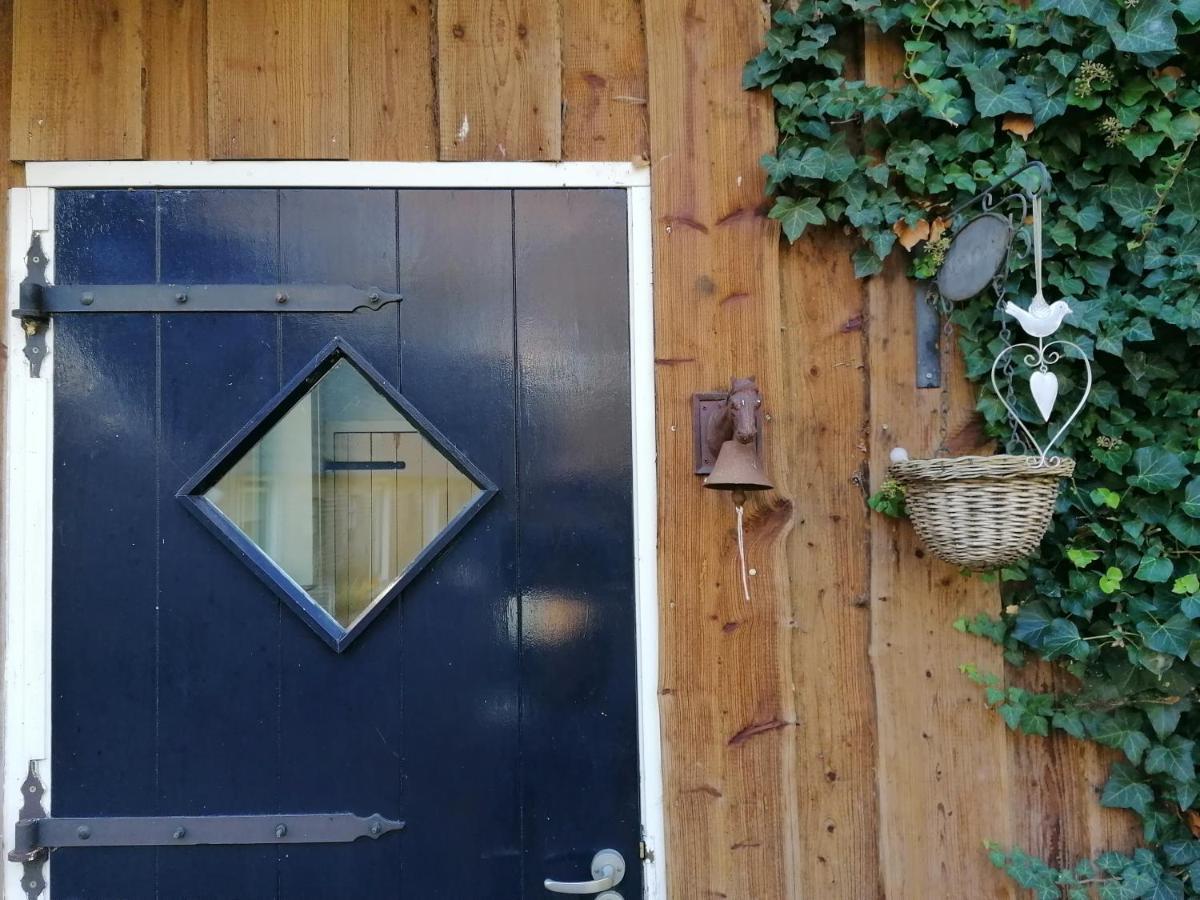Het Bonte Paard Bed & Breakfast ดวิงเงโล ภายนอก รูปภาพ